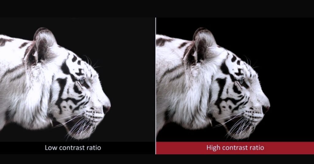 Contrast Ratio Important